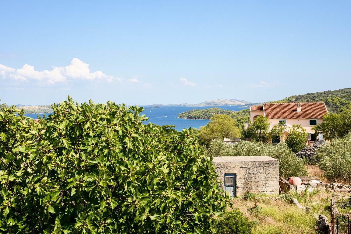 Apartment Lordanic Zaglav, Dugi Otok エクステリア 写真